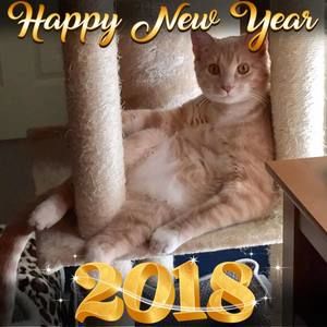 Meet your Posher, Alice